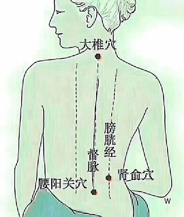 美容哪家好 美容哪家好