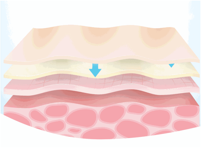 1596022921652825.png image.png