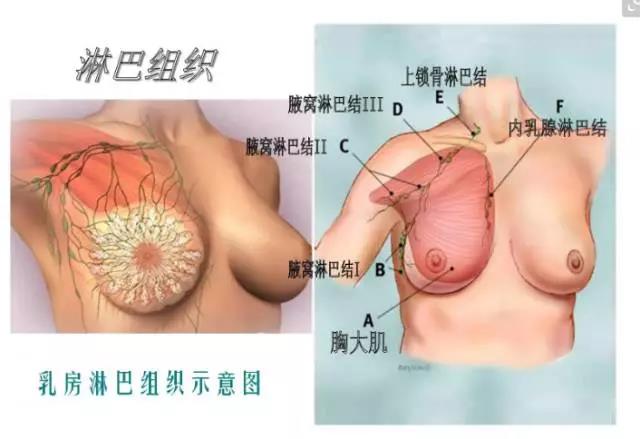 1640840745615358.jpg 微信圖片_20211230111229.jpg